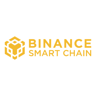 Binance Smart Chain (BSC) Blockchain Development Company in India