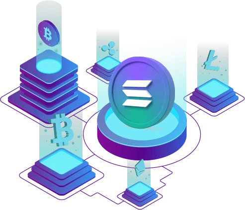 Binance Smart Chain NFT Marketplace Development India - Biovus