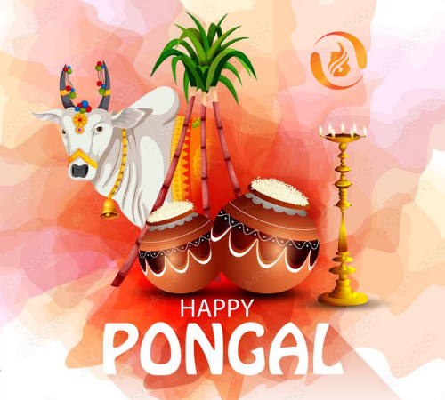 Wishing a prosperous Mattu pongal..!!!