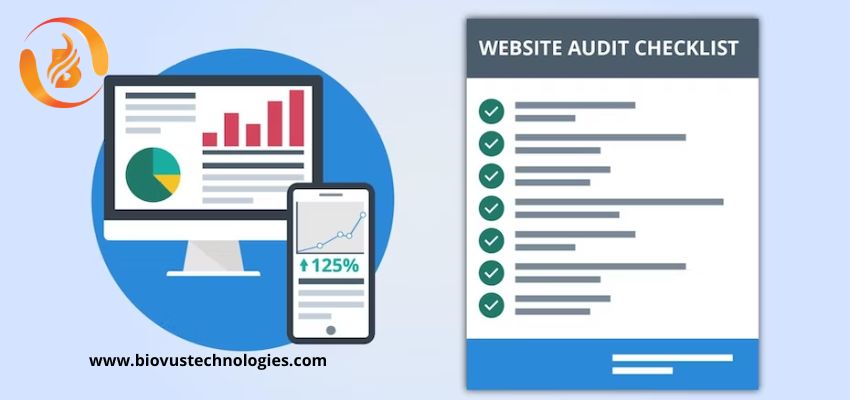 Website Audit