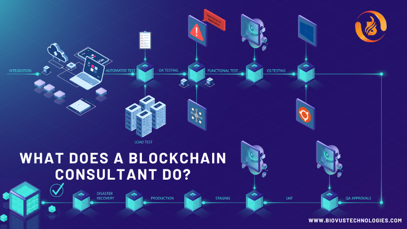 What does a Blockchain consultant do?