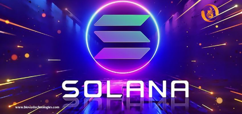 Solana NFT Marketplace Development