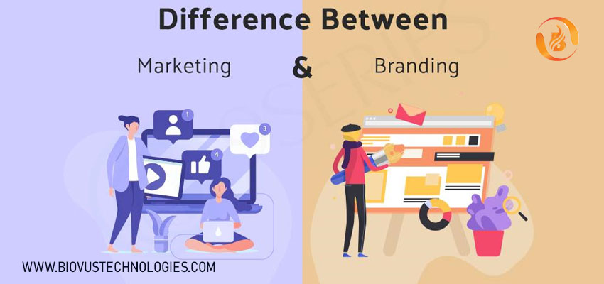 How SEO Company In India Makes Branding?