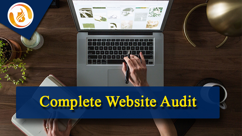 Website Audit