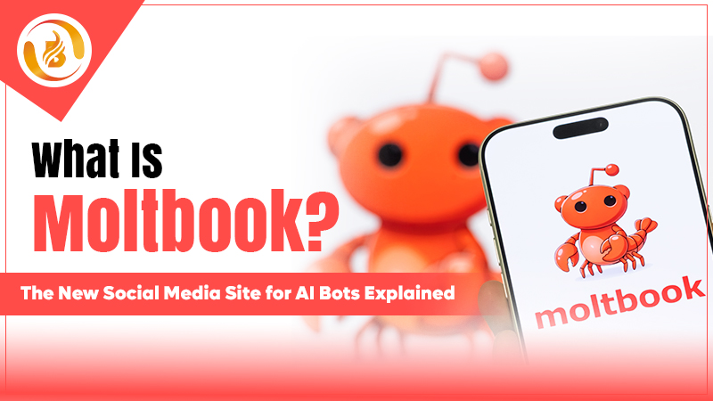 What Is Moltbook? The New AI Social Media Platform Explained